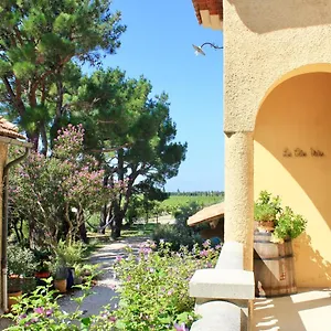 Bed & Breakfast Le Clos Vitis, Violès